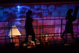 Travnička kronika (11)