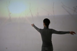 picture-3