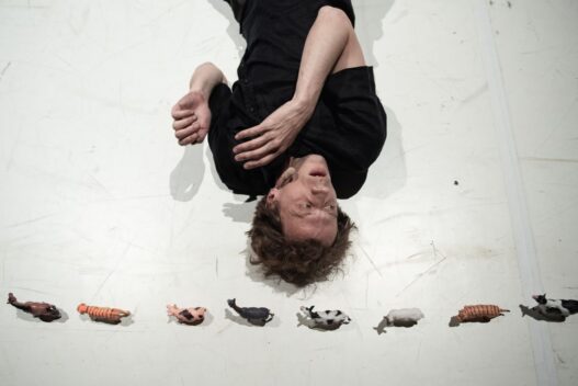 004___Sad_Sam_Matthaus_foto_Jelena_Janković (7)