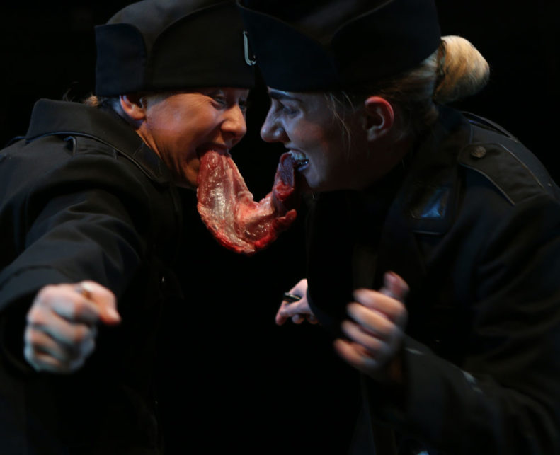 Hrvatsko glumiste (4)