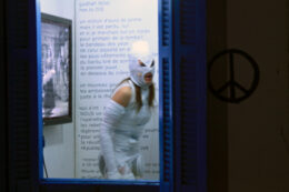 picture-5