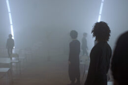 picture-11