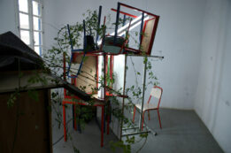 picture-15