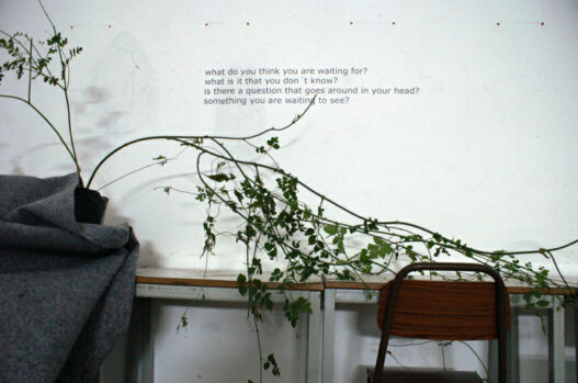 picture-19