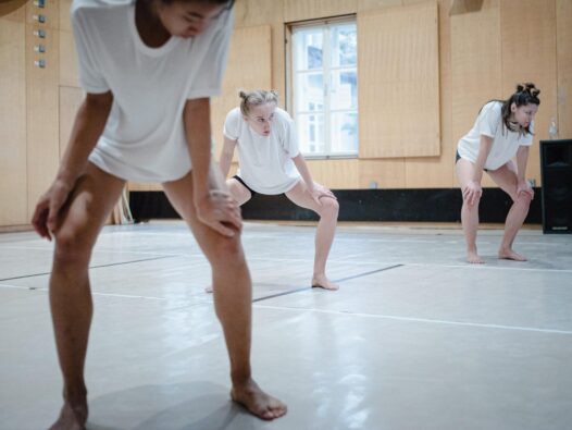 zpa_oko_s_povrsine_radne42